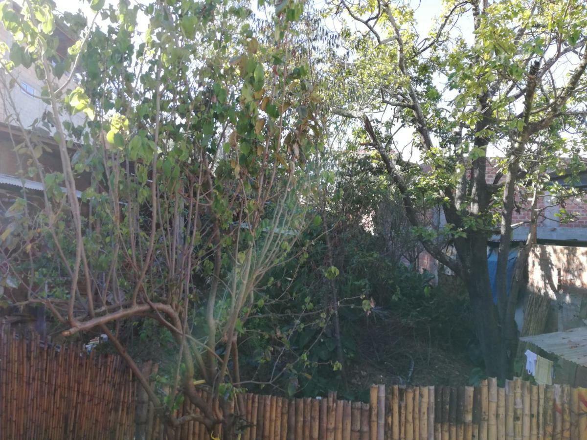 Albergue Aventura Chachapoyas Backpackers Exterior foto